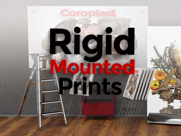 Rigid Mounted Prints